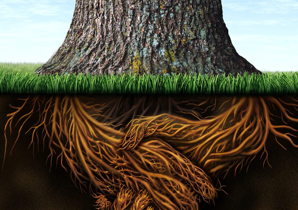 Traits of A Healthy Relationship