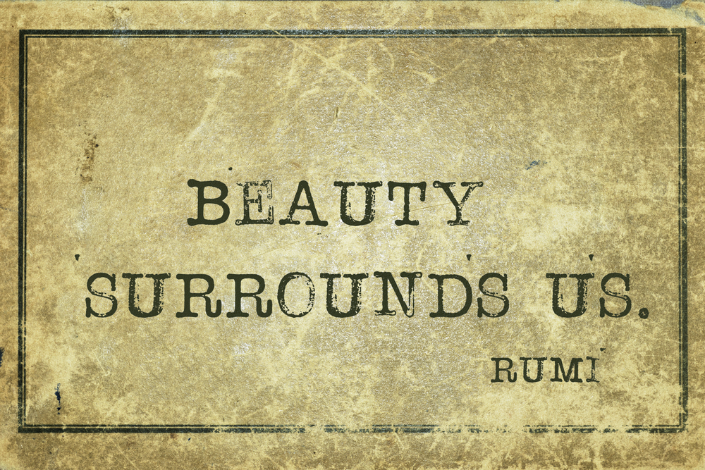 Beauty is all around us