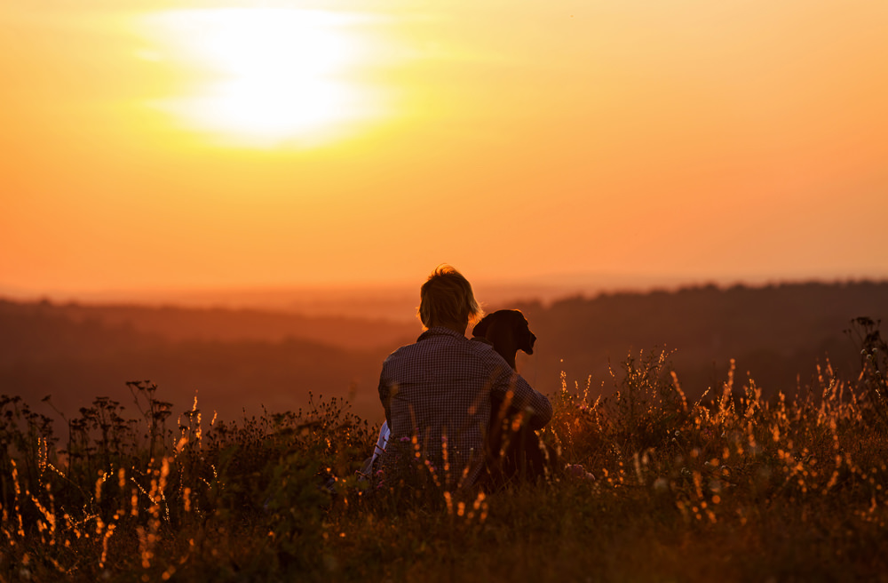 Finding our FAITH-full Home