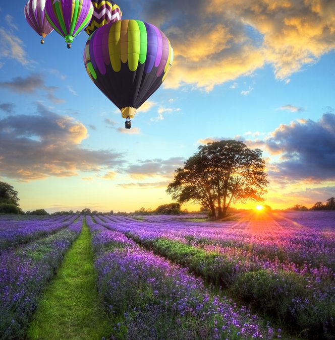 A New Start, Every Month